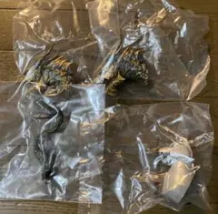 一番くじ ゴジラ 70th E賞モンスターヘッドマグネット まとめ