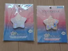 2025年最新】フラガリア 星型缶バッジの人気アイテム - メルカリ