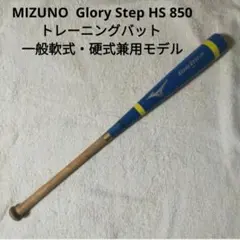 テーラーメイド 素振り棒 TM25 Practice Bat - メルカリ