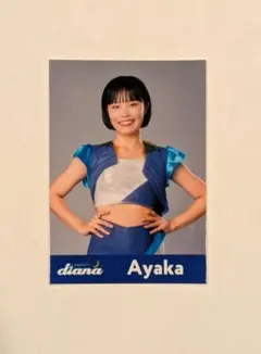 ワニ隊長様 リクエスト 2点 まとめ商品