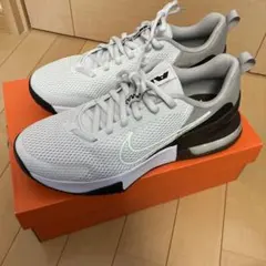 NIKE METCON 9 PRMナイキウィメンズメトコン9 白×銀24.5cm - メルカリ