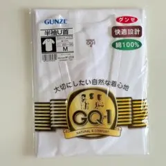 GUNZE 半袖U首 Tシャツ M ホワイト