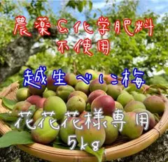 NAGOMIの梅『花花花様専用5kg』越生べに梅のサムネイル