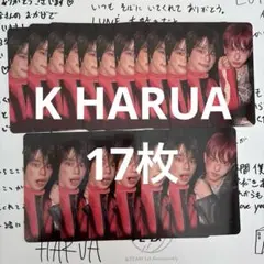 &TEAM K HARUA 17枚