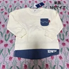 Item thumbnail for item 03cfc87c-31b5-438f-a8a4-bac70e92ac3c