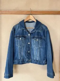 Ｇジャン　L UNIQLO