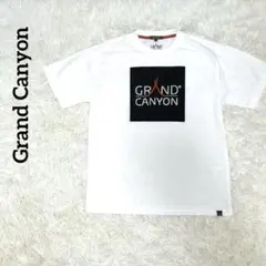 【美品】Grand Canyon グランドキャニオン 半袖シャツ Tシャツ 刺繍