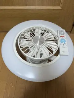 CIRCUITLIGHT 2025年式