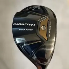 2026年最新】パラダイム ユーティリティ 21の人気アイテム - メルカリ