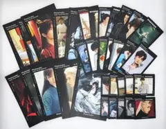 【成毅】フォトマチック風カード◆各種サイズ全34枚 (チョン・イー)