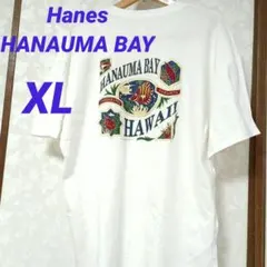 Item thumbnail for item e25d9a25-e624-4ea5-a1b9-c07dcd4db11c