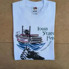 Dubuqueヴィンテージ Tシャツ Iowa State Feis