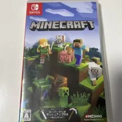 Minecraft Nintendo Switch版