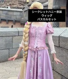 け*こ様 ラプンツェル　コスプレ　パスカル　ユージーン　セット売り 上からのぞくユージーン視点👀 パスカル♡♡📗 #ラプンツェル