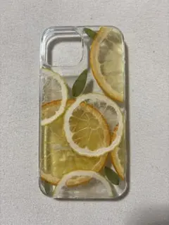 Item thumbnail for item 6a67b278-f520-484a-b726-7b54e36a06dc