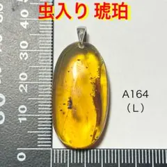 天然石 虫入り 琥珀 ペンダントトップ （Ｌ） ❷