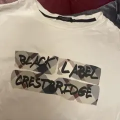 Item thumbnail for item 14ecaa24-126a-401a-b258-0b6ed98cfed6