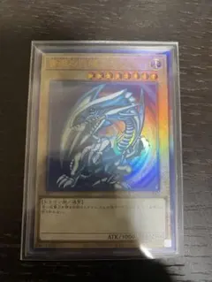 ブルーアイズホワイトドラゴン　レリーフ　(アルティメット)