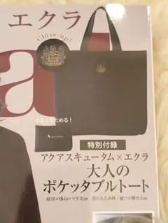 Aquascutum x eclat 大人のポケットトート