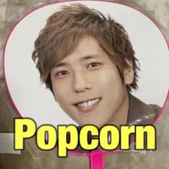 嵐　二宮和也　うちわ