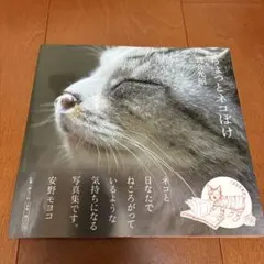 ちょっとネコぼけ 岩合光昭 写真集