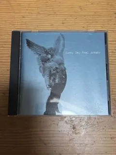 Sunny Day Real Estate rising tide