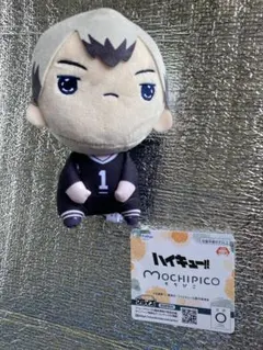 【24時間以内発送】ハイキュー!! もちぴこぬいぐるみ 第10弾 北信介