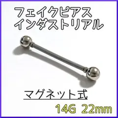 Item thumbnail for item 9c7b2332-ba04-4c17-9498-6d8107f1a795