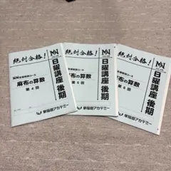 早稲田アカデミー NN麻布 ラストスパート 4教科 2024年度 NN志望校別コース（前期） 麻布クラス 小6 | オプションコース・講座