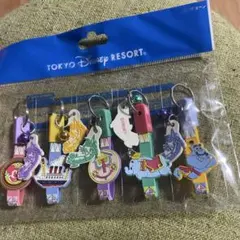 ディズニー　キーチェーン