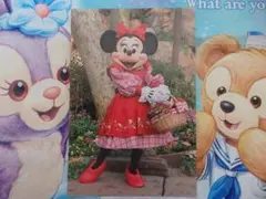 新品♪東京ディズニーランド ミニー 実写 ポストカード 2018♪ 35周年