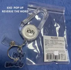 新品 EXO チャニョル フォンタブ付きキーホルダー チャルトベンセット