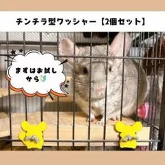 Item thumbnail for item ffcf8220-83f3-4805-a66b-b1dd1c56f0c5