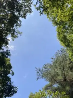 みーちゃん様　専用です