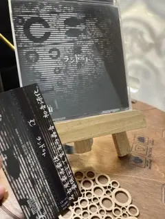 ℃ シー　ランドルト　CD V系　ヴィジュアル系　ビジュアル系　名古屋盤
