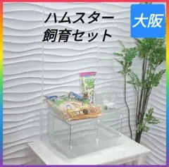 ◇ハムスター飼育セット◇飼育セット◇5点セット◇のサムネイル