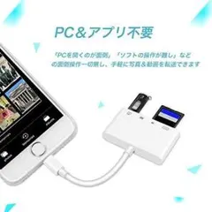 SD カード カメラリーダー カメラデータ移行