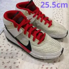 Nike KD13EP 25.5cm USカラー