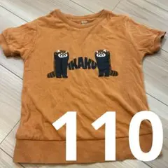 グラニフ　Tシャツ　キッズ　110 半袖　IKAKU アライグマ　プリントT