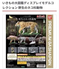 値下げしました✨いきもの大図鑑 ディスプレイモデル 野生のネコ科動物
