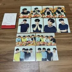 公式 BTS SUGA ユンギ Love Yourself ミニフォト コンプ