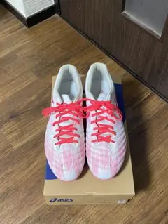 Assics DS LIGHT X-FLY PRO 2 LIMITED