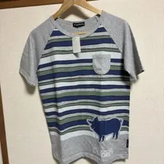D.STORE'S 半袖Tシャツ　Mサイズ ラグラン袖