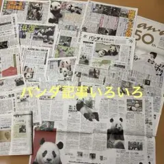パンダ 新聞記事 セット　まとめ売り　33枚のサムネイル