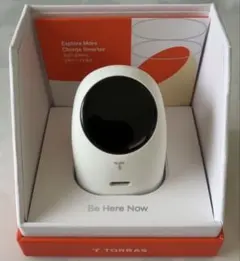 【本体のみ箱無し】TORRAS FlashEye 45W