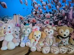 ダッフィーフレンズ　ぬいぐるみ&衣装