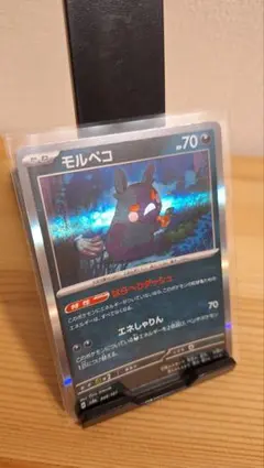モルペコ ポケモンカードゲーム
