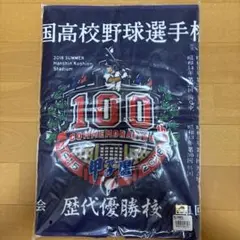 2026年最新】甲子園100回記念大会の人気アイテム - メルカリ