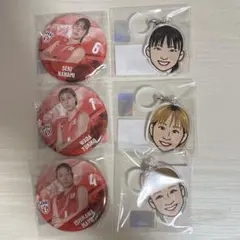バレーボール女子日本代表 缶バッジ、アクリルマーカーセット - メルカリ