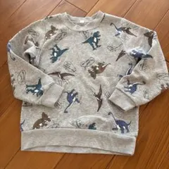 恐竜 トレーナー 裏起毛